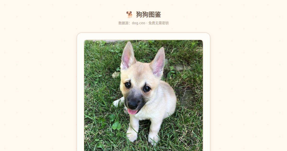 狗狗图鉴