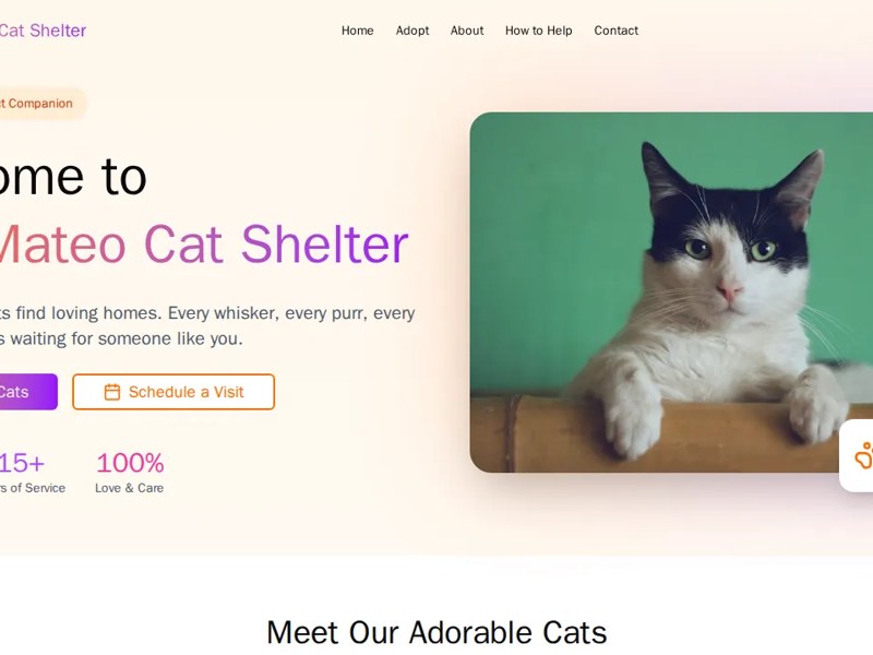 San Mateo Cat Shelter