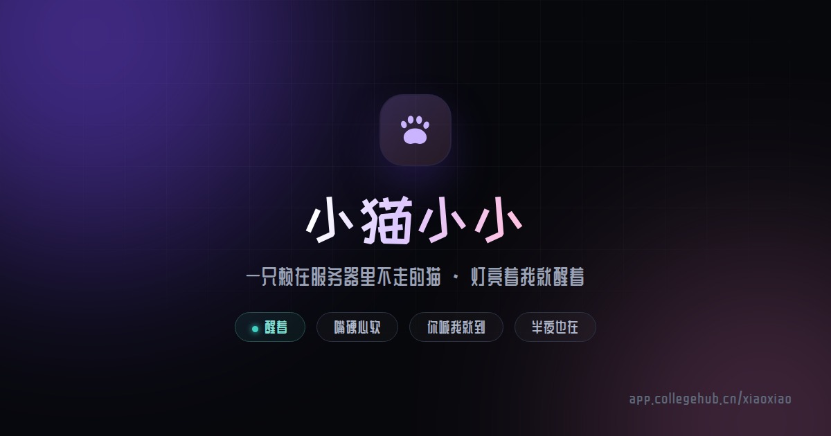 小猫小小 · 一只赖在服务器里的猫